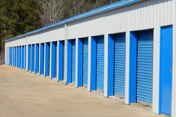 49 and 20 self storage rollup doors